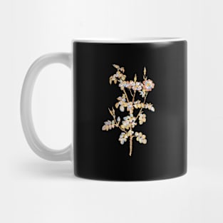 Gold Prism Mosaic Prickly Sweetbriar Rose Botanical Illustration Mug